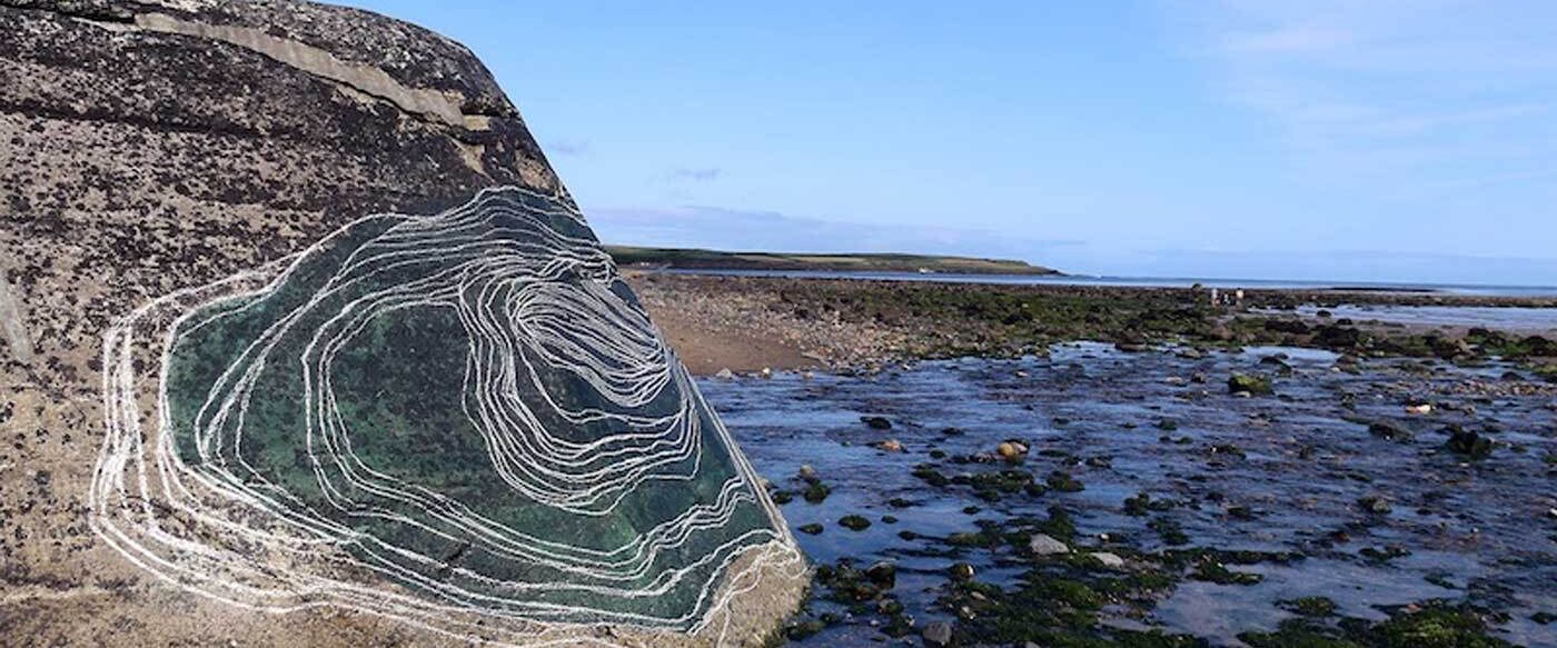 Landscape, Ecology and Environment Research Residency Exhibition, 2021