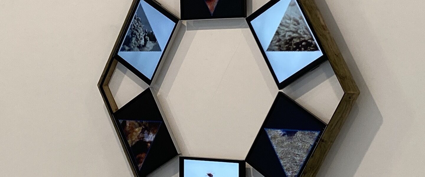 Main gallery Main gallery