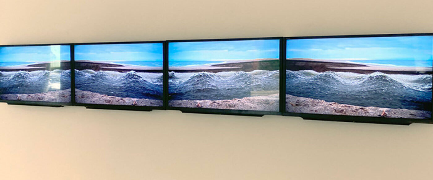 8 Exh ER 2020 O Toole