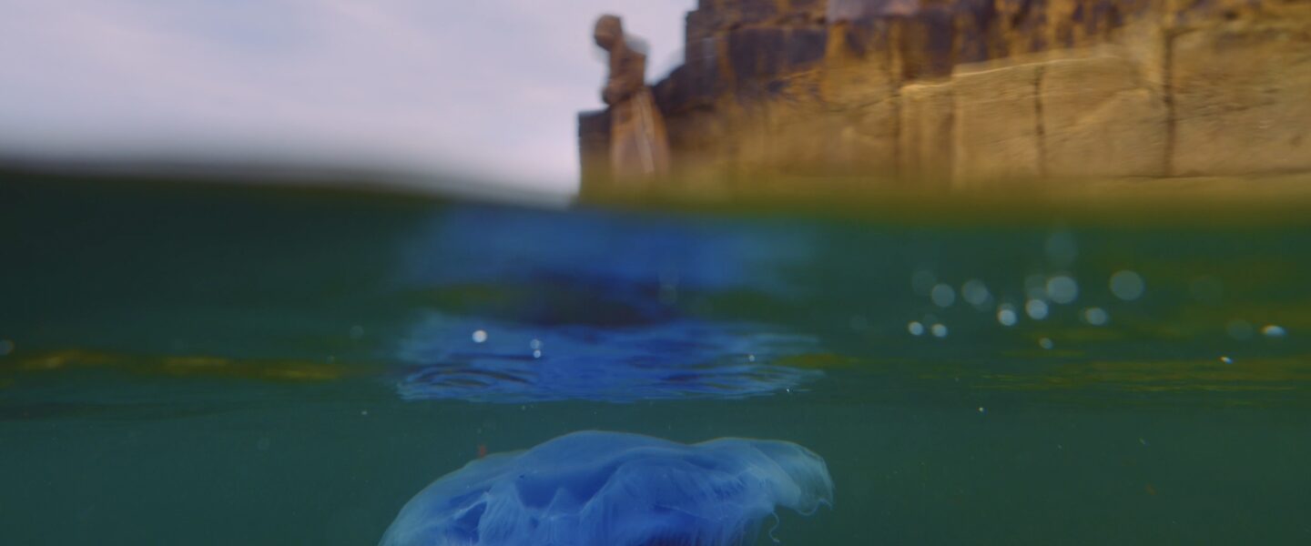 Bettina Seitz Monk 2024 Tread Softly film still videography by Fionn Rogers