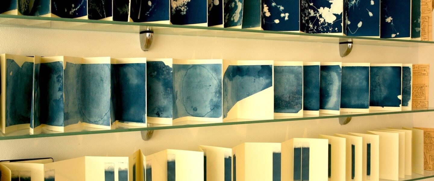 4 Drawing with Light Cyanotype Christine Mackey LSC 2011
