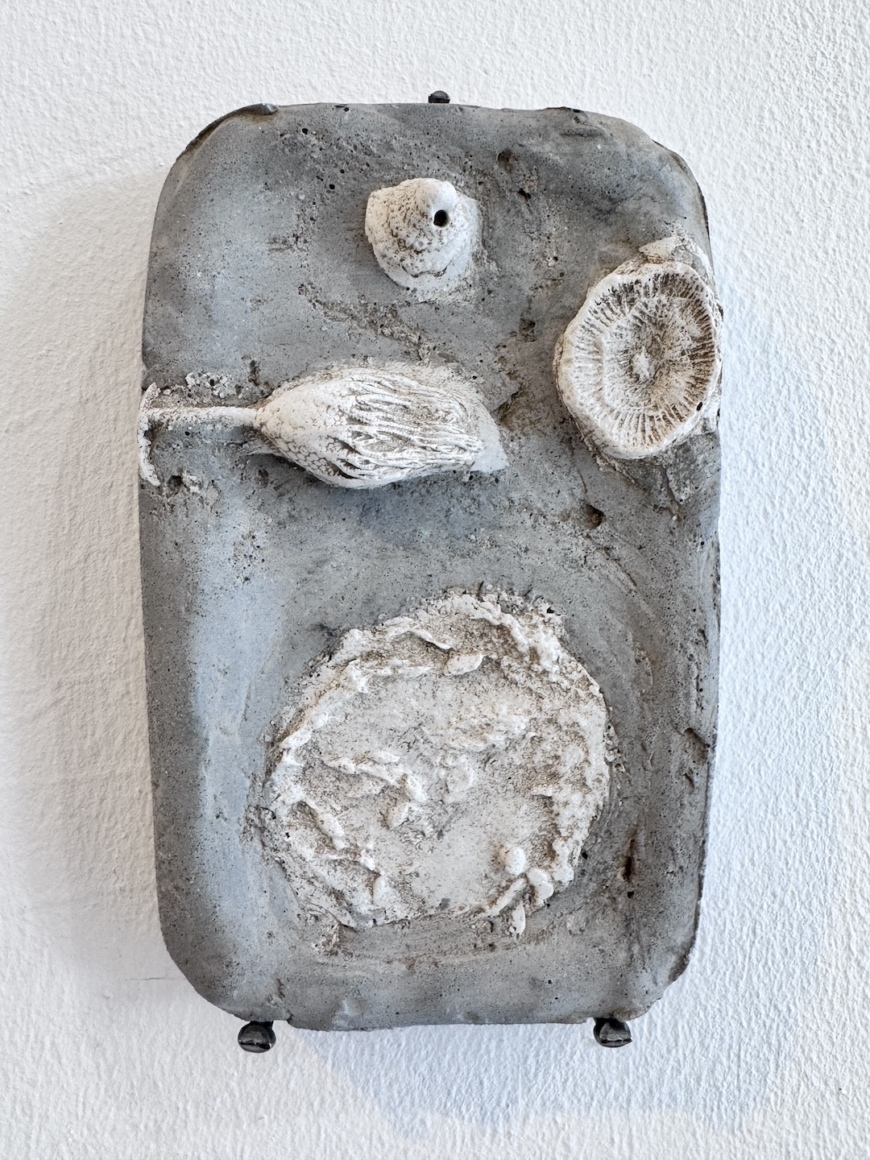 Bernie Colhoun, Moments in a Lost Sea -Fossil Series, Jesmonite cast scientific fossil models, 395 x 16 x 5cm, 2025