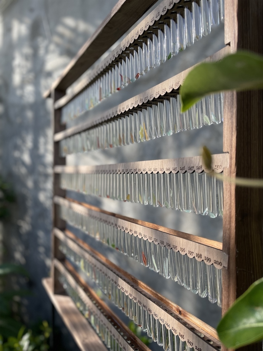 Lindsay LeBLanc, Out Within: Praeger’s Seed Survey, 2023. Sculpture in Context, National Botanical Gardens, Dublin. Glass seeds, laser-engraved walnut, water 83×83×7cm.
Image courtesy of the artist