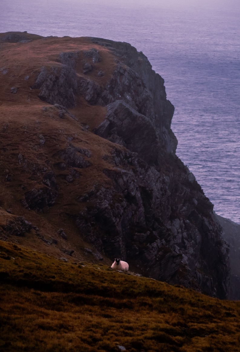 Ireland 3 33