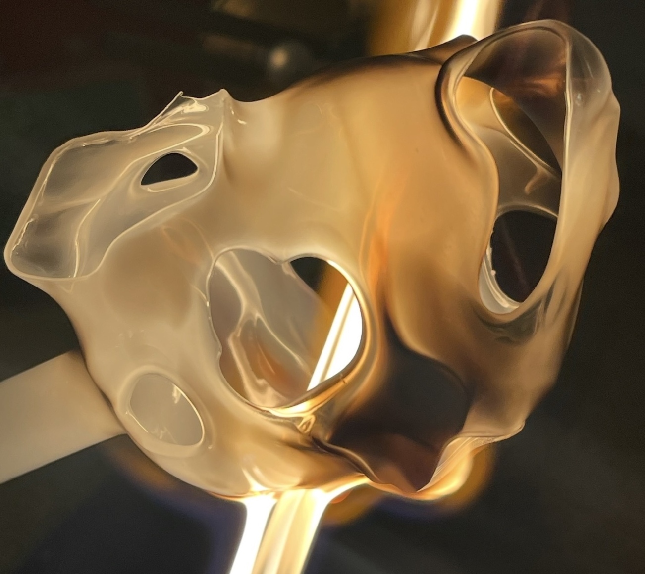 Lindsay LeBlanc, detail of flameworked glass, 2026