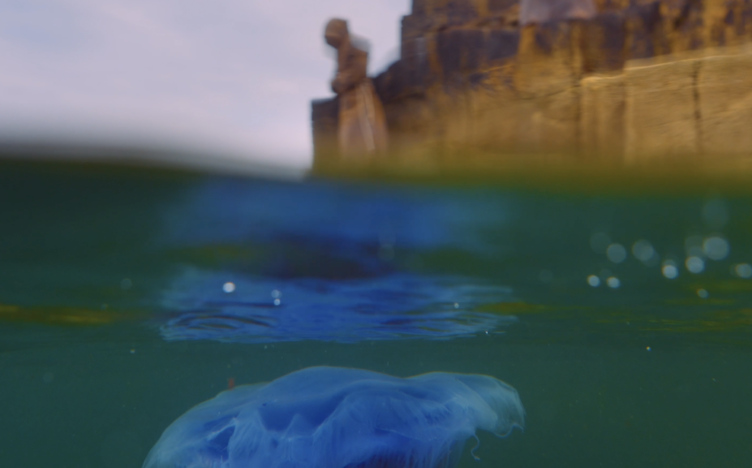 Bettina Seitz Monk 2024 Tread Softly film still videography by Fionn Rogers