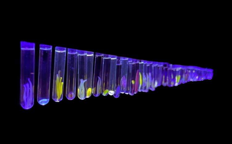 IMAGE03 Lindsay Le Blanc Uranium Seed Survey