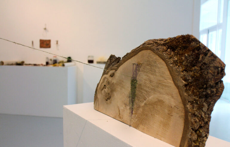 Marta Romani &amp; Karl Logge, ‘Meitheal, or The Social Fabric’, Installation view, LSC 2025, photo credit: Logge-Romani