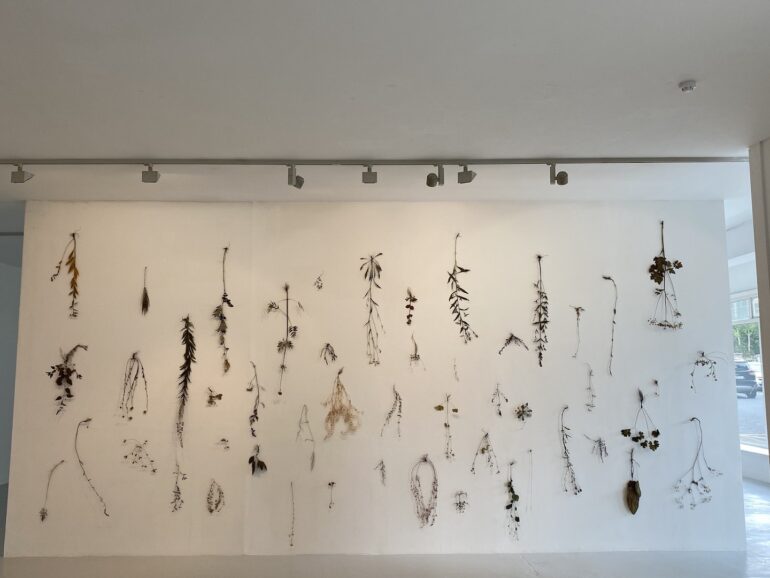 Christiine Mackey, Hedgerow Wall, LSC, 2021