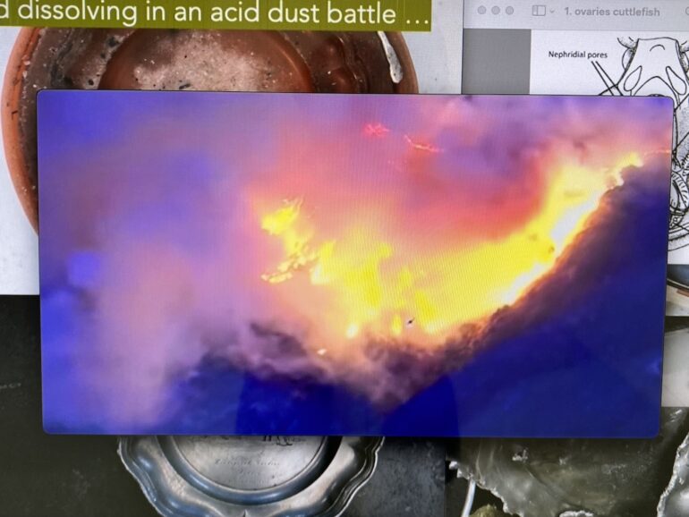 Rosie O'Reilly, In the Mesh Staying with the Trouble, LSC 2022