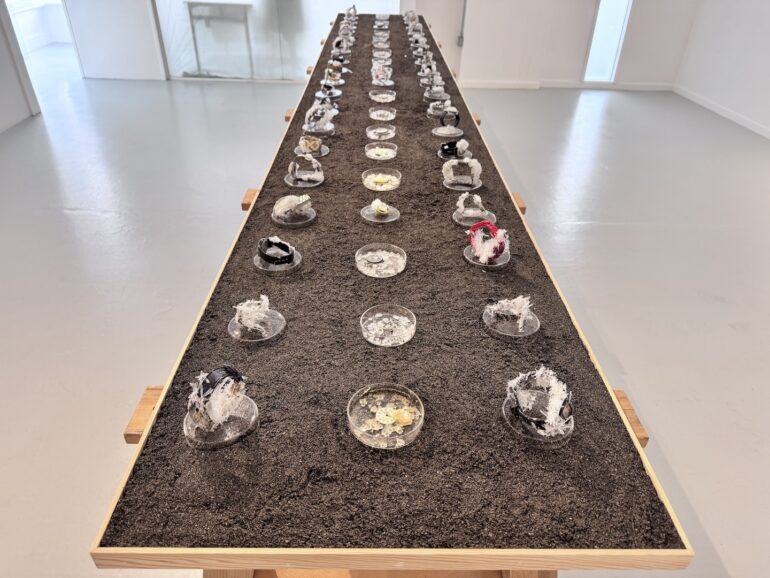 Bernie Colhoun, Timeline, crystallised watches, petri dishes, sand, pine board, 410 x 62 x 83cm 2025