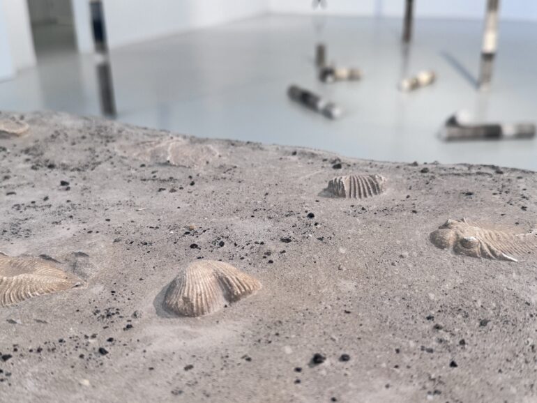 Bernie Colhoun, Before Us –Fossil Series, Jesmonite cast scientific fossil models, 57 x 57 x 3.5cm, 2025