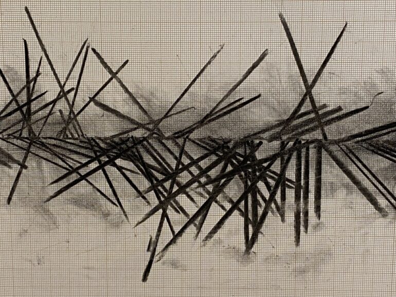 Felicity Clear detail of A Week in January Manorhamilton, charcoal on graph paper 2023