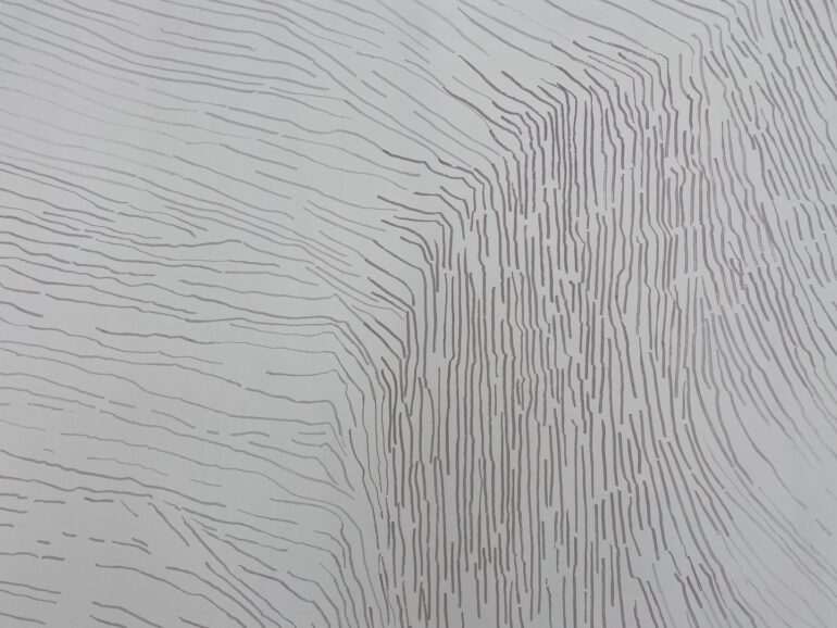 Felicity Clear, Air 17th December 02 50 14 20 detail, marker and elastic 2023 photo: Eugene Lang, LSC 2023