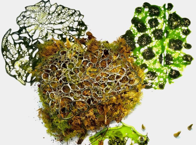 Lindsay LeBlanc, Entangled Fragment, kiln-formed glass, moss, 2026