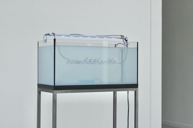 Blaine O'Donnell, neamhábhartha, 2025
Glass aquarium, LED light, mild steel, clear spray paint, plastic table feet, galvanised steel wire, silicone, rubber, copper, tap water from LSC, USB connector, 3-core wire, 2-core wire, adaptor, timer, plug, socket, black spray paint, vinegar, 5V photovoltaic cell, cable ties, electrical tape, lead-free solder.(photo: Blaine O'Donnell, 2025)