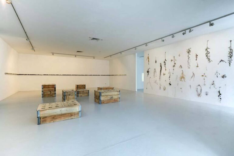 Christine Mackey, The Long Field (installation view), LSC, 2021