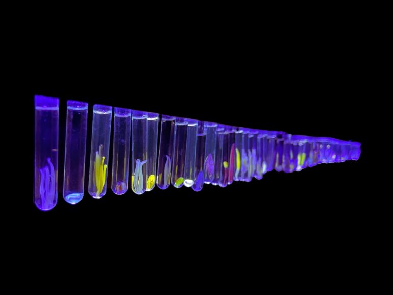 Lindsay LeBlanc, Seed Survey, 2023.They Are Home, Burren College of Art
Glass, uranium, UV light 196×15×5cm. 
Image courtesy of the artist