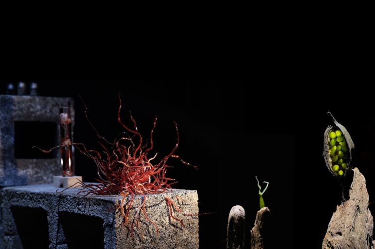 Lindsay Leblanc, Build, Balance, 2023.
Collaborative installation, Gallery 126, Galway
Borosilicate glass, cinder blocks, marine plastic, seed pods, driftwood. Image courtesy of the artist.