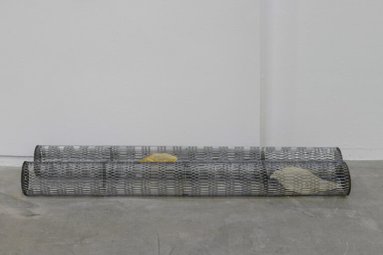 Katie Watchorn, Cultivate, Welded stainless steel mesh, cast sugar glass, Detail of From Here to There at the Douglas Hyde Gallery, 2021, Image: Louis Haugh.