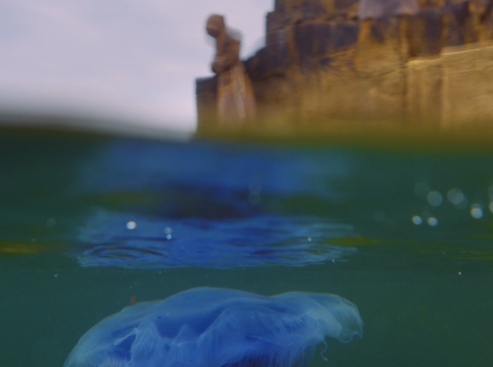 Bettina Seitz Monk 2024 Tread Softly film still videography by Fionn Rogers