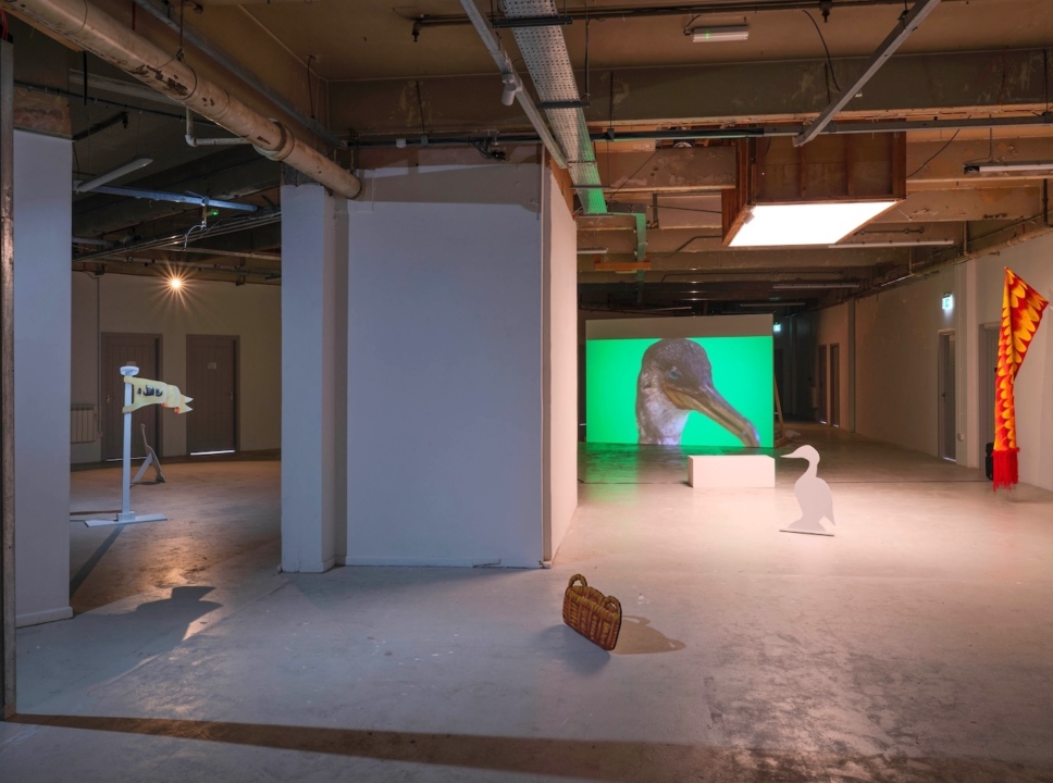 Film and sculptural installation exhbition at Queens Street Studios Belfast 2024